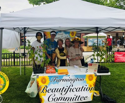 Market Sunflower Explosion