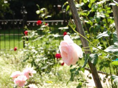 Pic Warnermuseum Garden2